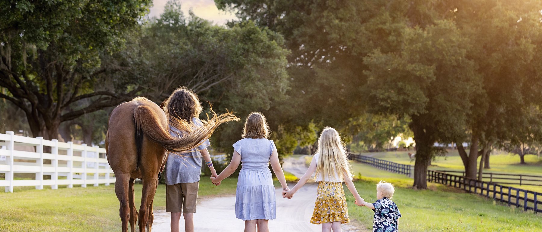 Four children walking hand in hand down a sandy lane at sunset, leading a chestnut horse