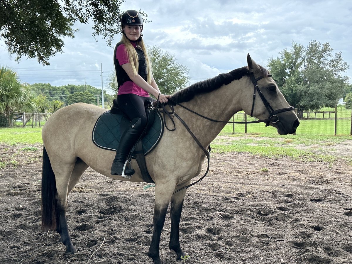 Coletta riding Zenni in the arena after five months away at the trainer